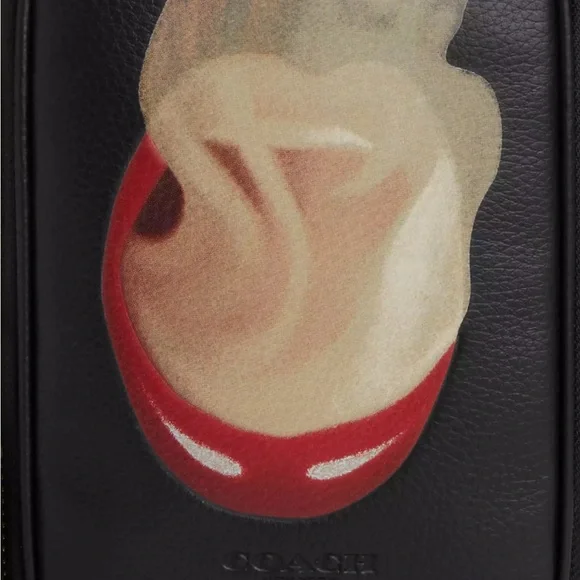 NWT COACH Coach X Tom Wesselmann Stanton Leather Crossbody in Black - Picture 5 of 6